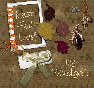 صور  تصميم رائعه Last+fall+leaf+by+bridget