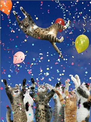 [cats-birthday-hop.jpg]