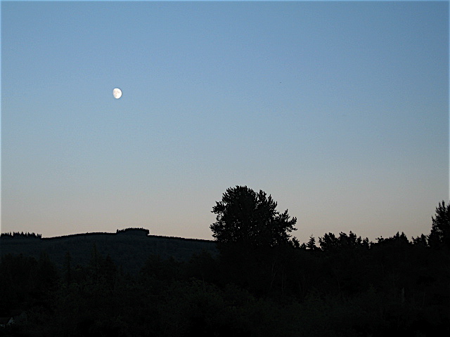 [july+moon+at+twilight.jpg]