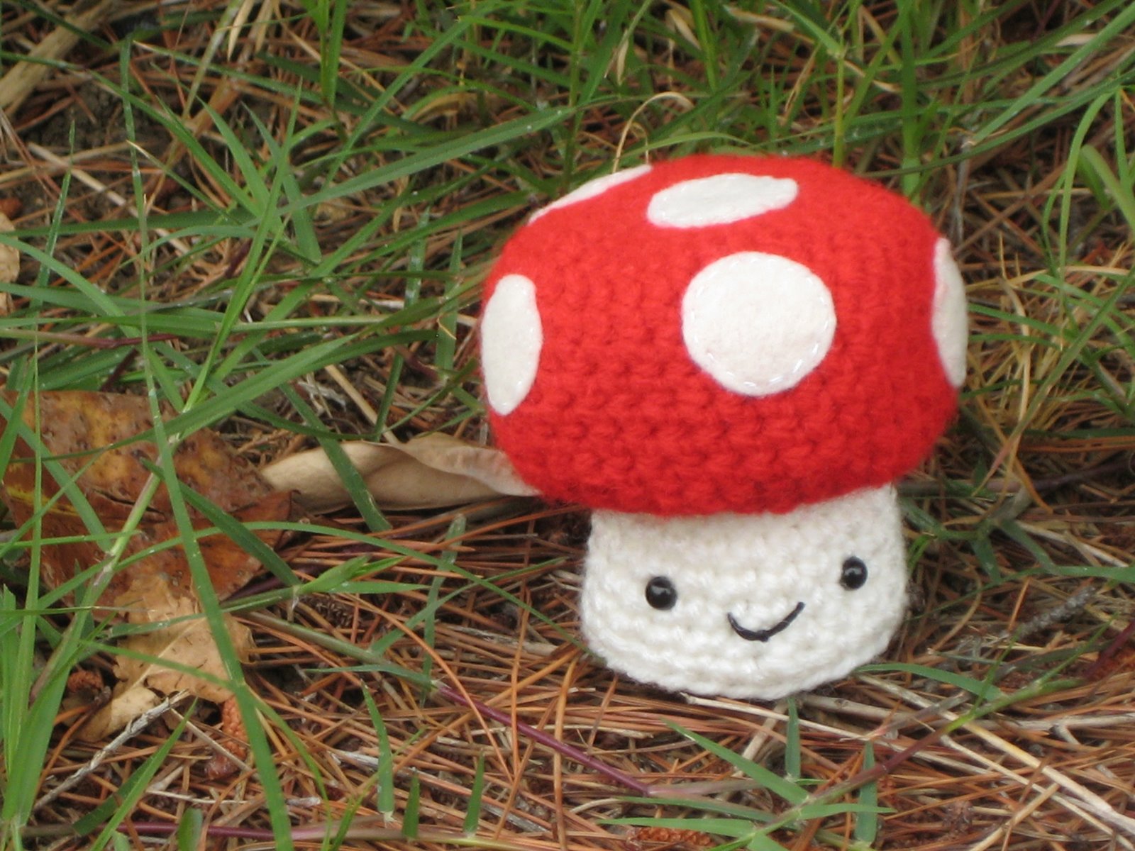 [good+mushroom+picture+2.JPG]