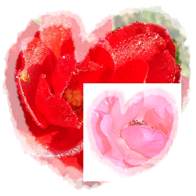 [Valentinovo+ruža.jpg]