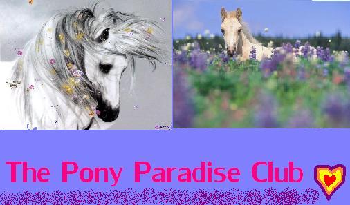The Pony Paradise Club