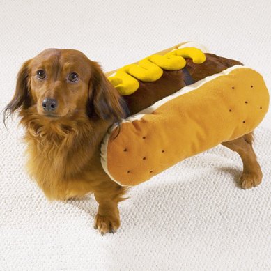 [Hot-Dog---Mustard--small.jpg]