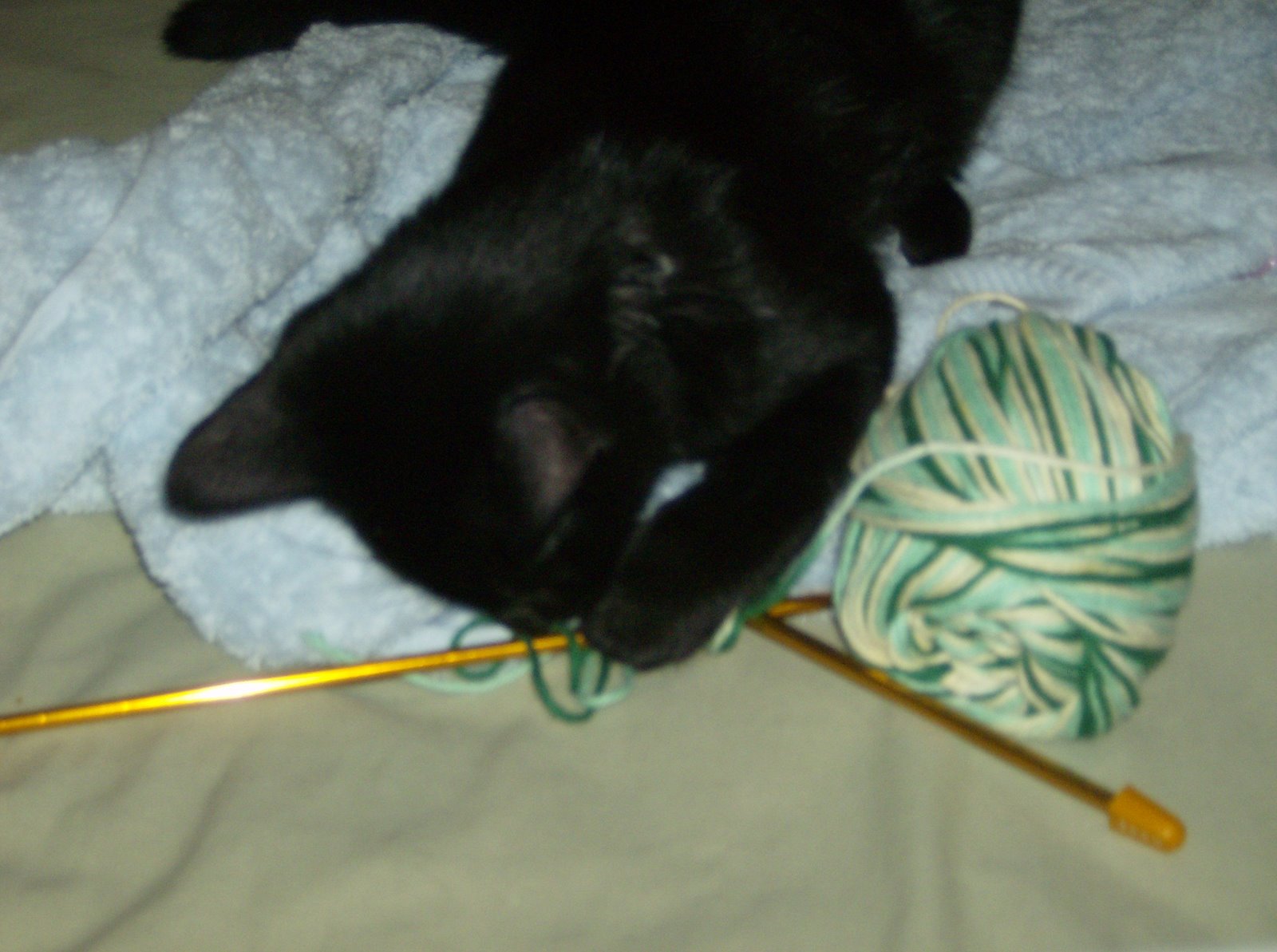 Grim wants to try knitting...