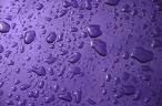 [raindrops+purple.jpg]