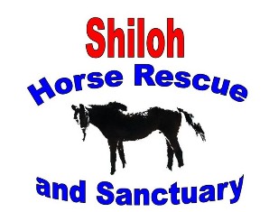 Shiloh Horse Rescue