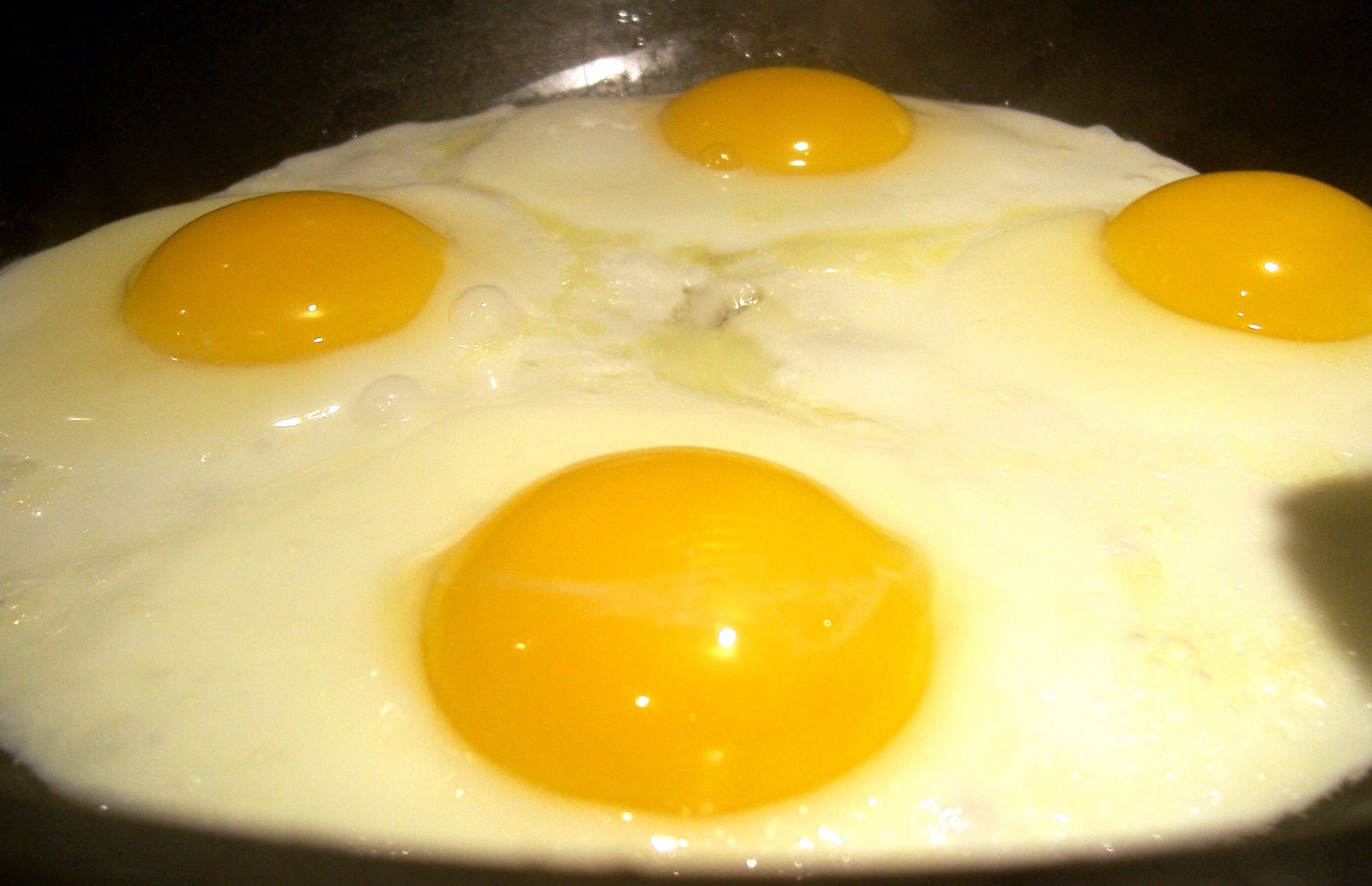 [Eggs+up1.jpg]