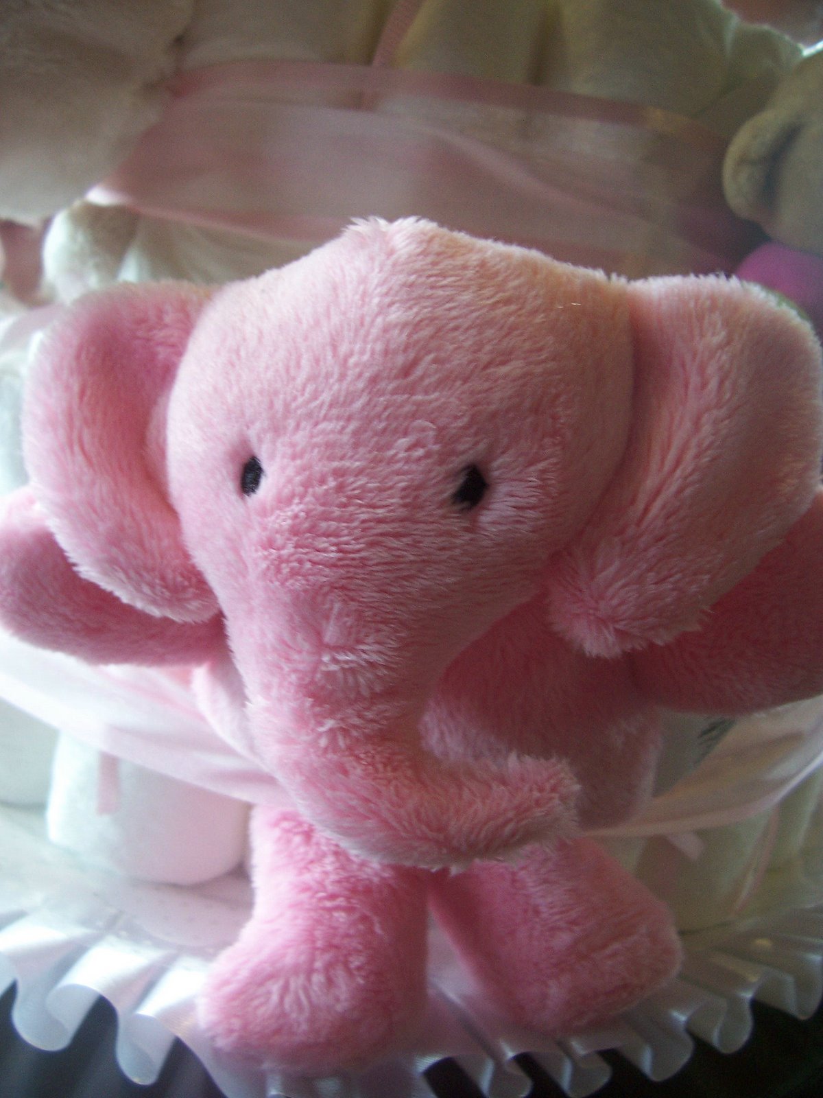 [Pink+Elephant1.jpg]