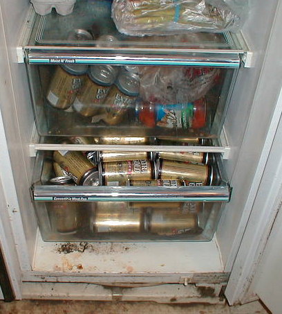 [fridge.JPG]
