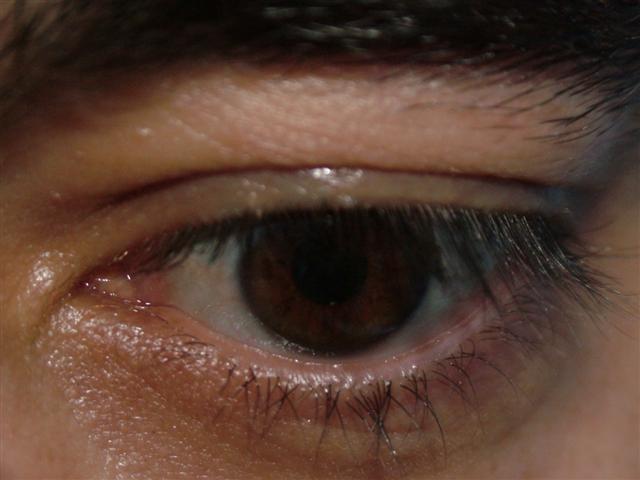[Olhos+(2)+(Small).JPG]