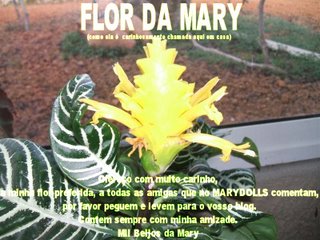 [flor+da+mary[1].jpg]