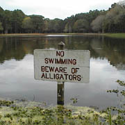 [alligator+sign.jpg]