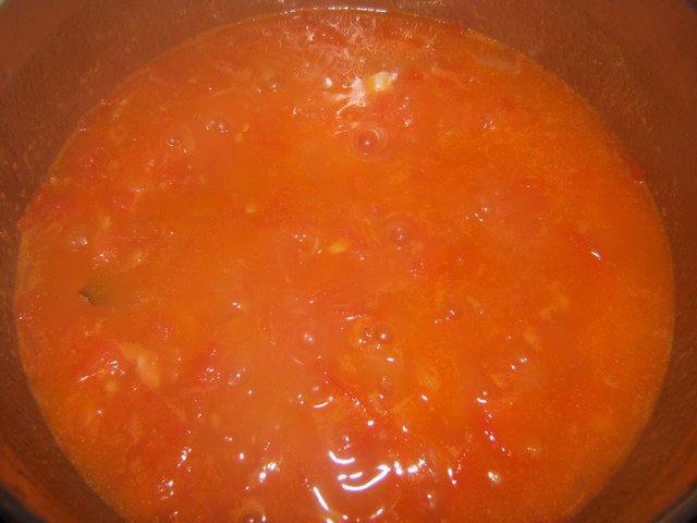 [sauce+tomate5.JPG]