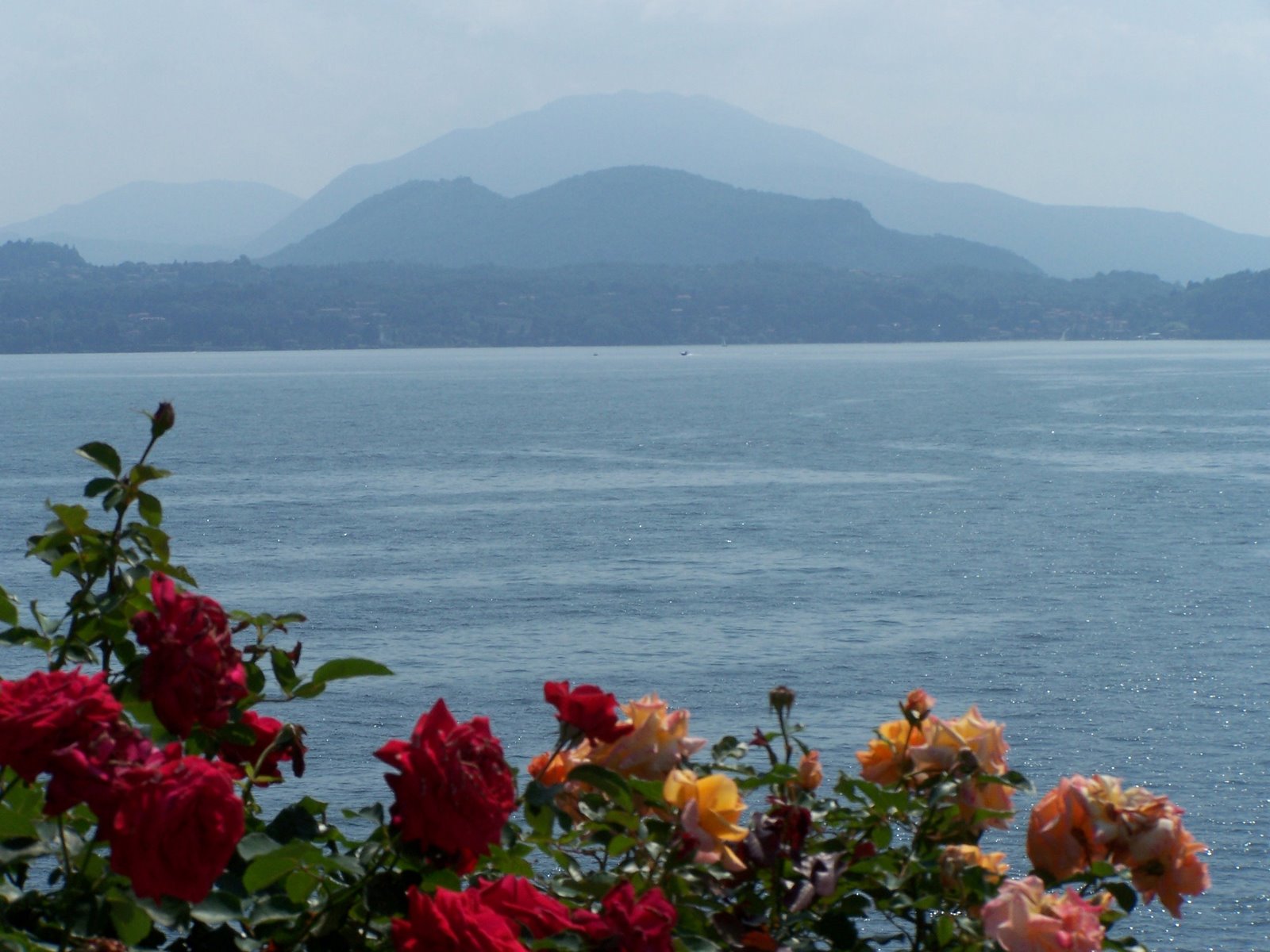[6.24.07+06+Lake+Maggiore+-+Isola+Bella+-+View+from+Gardens+(5).jpg]