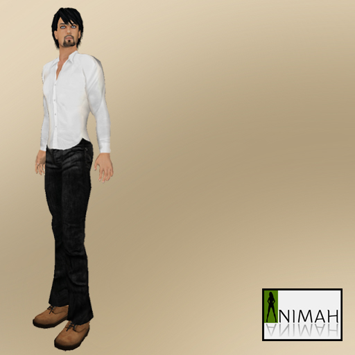 [01+ANIMAH+male+pose01+ad.jpg]