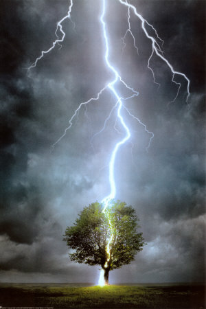 [Lightning-Striking-Tree-Poster-C10291635.jpg]