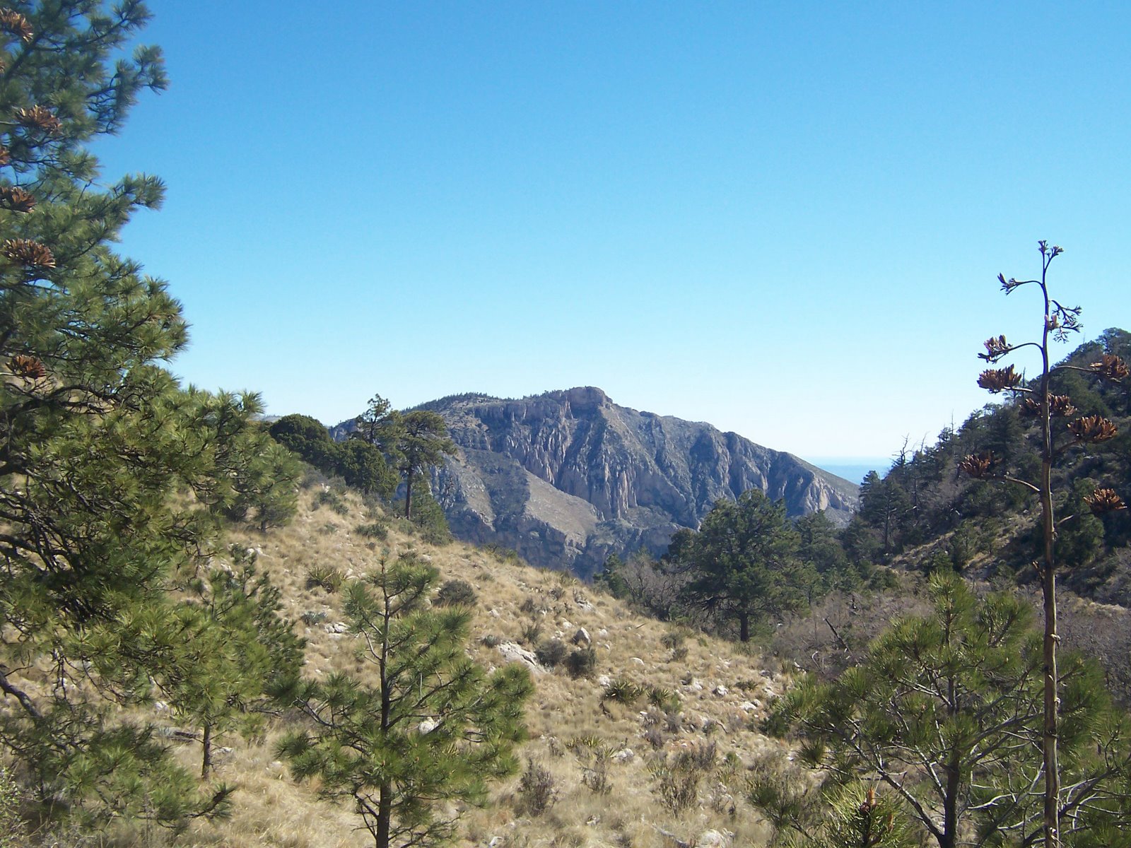 [guadalupe+mountains+029.JPG]