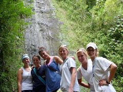 The group at Manoa Falls!