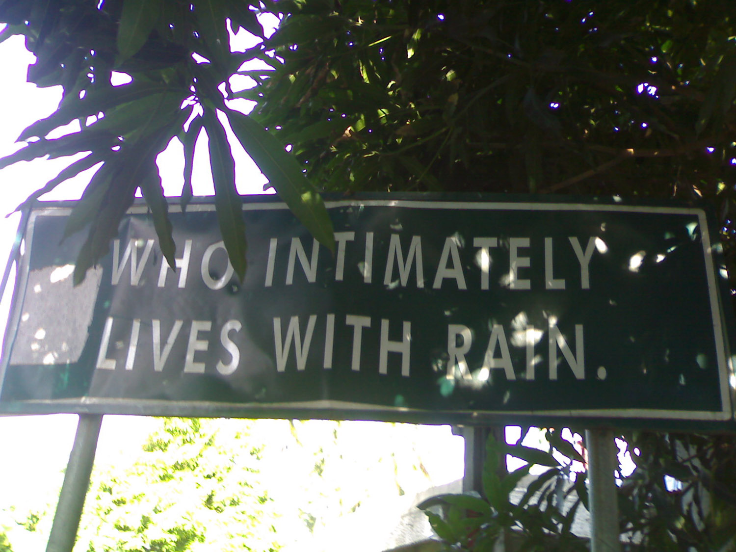 [lives+with+rain.jpg]
