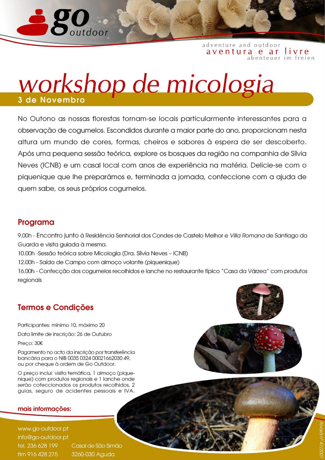 [workshop_micologia.jpg]