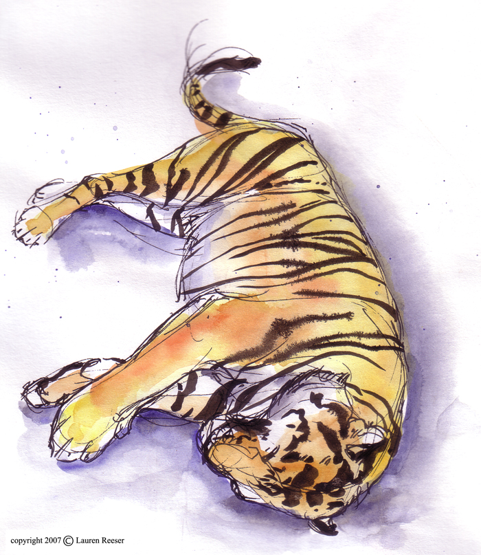 [tiger+sketch1.jpg]