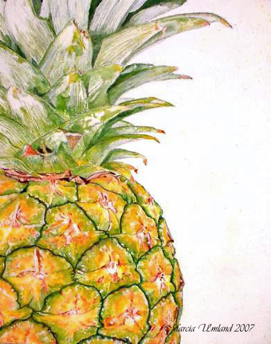 [pineapplebest.jpg]