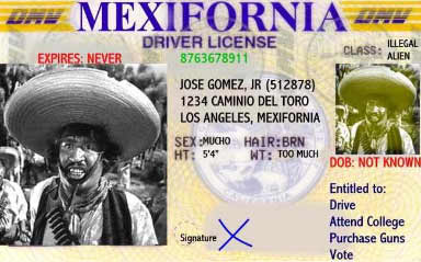 [mexifornia_license.jpg]