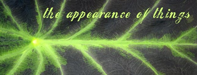 the appearance of things
