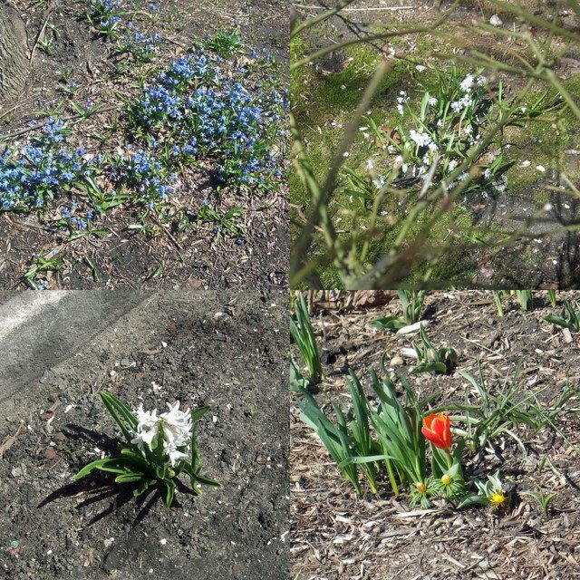 [Spring+2008+collage.jpg]