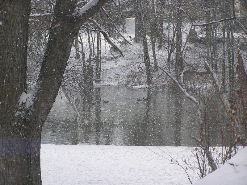 [River+House+backyard+in+the+snow3.jpg]