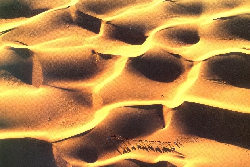 [dunes2.jpg]