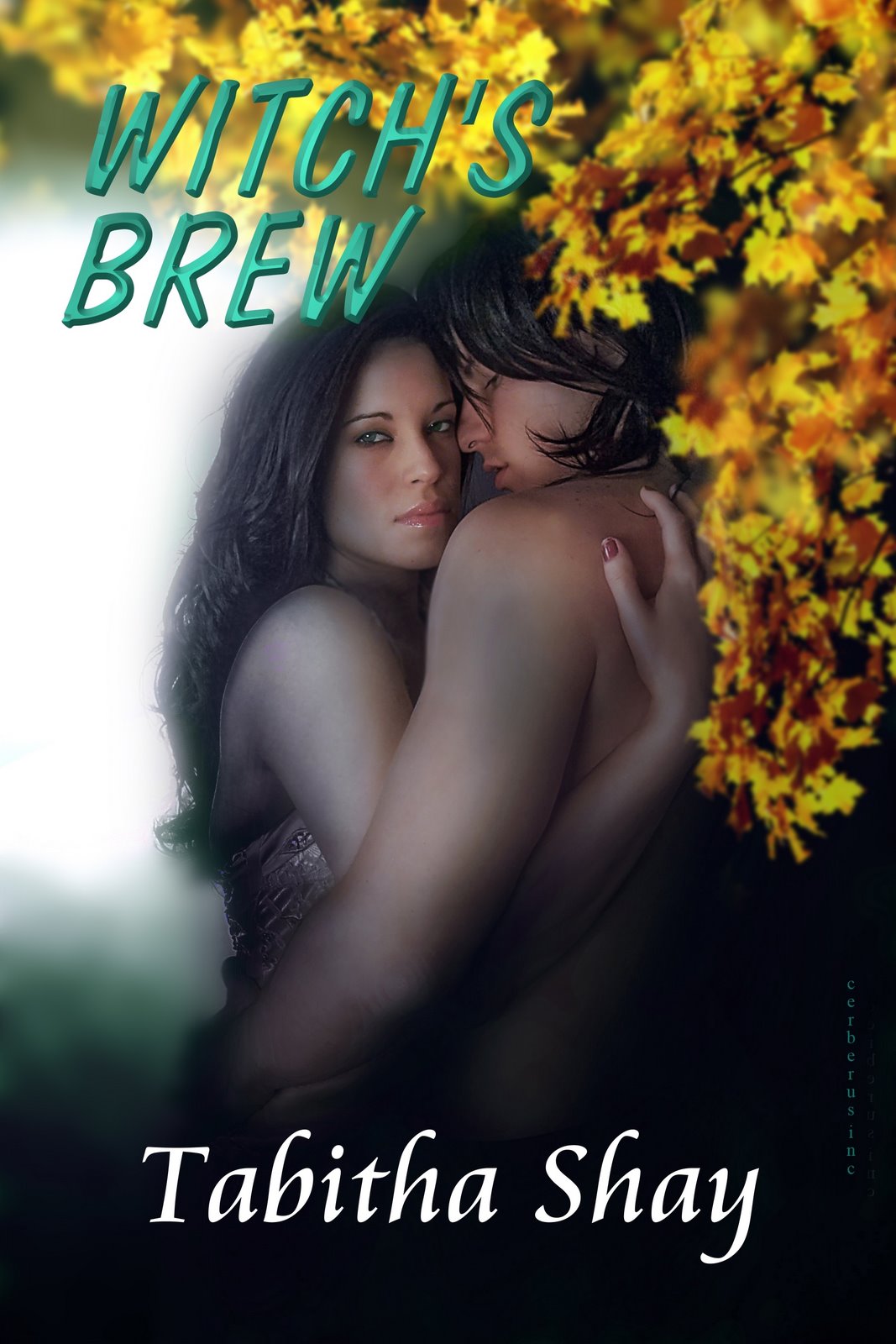 [NEW+WITCH'S+BREW+BOOK+COVER.jpg]