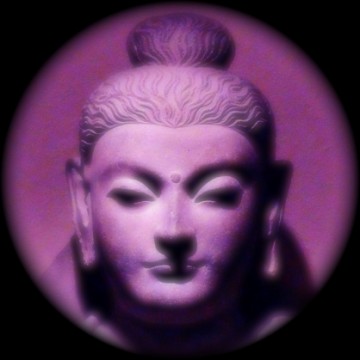 [medium_Pink_Buddha.jpg]