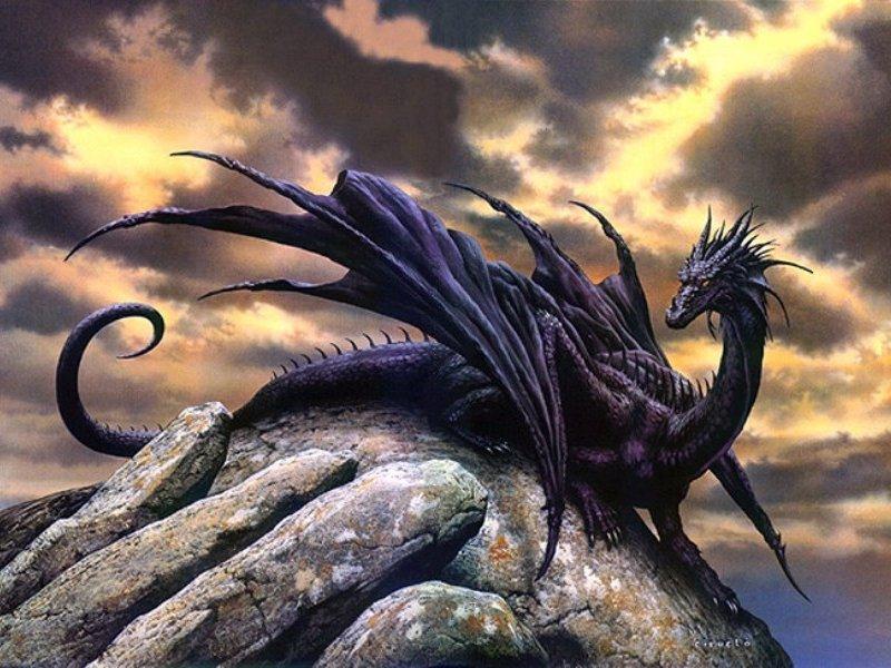 [black-dragons.jpg]
