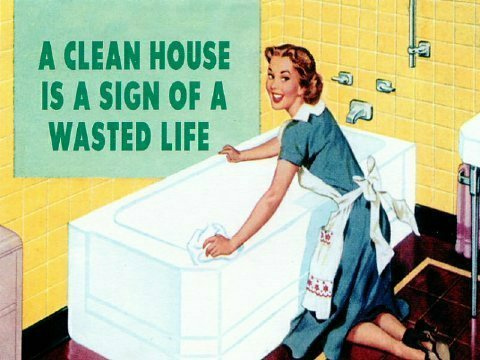 [a-clean-house-is-a-sign-of-a-wasted-life.jpg]