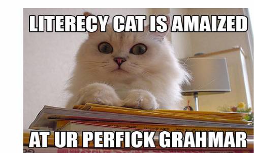 [grammar+literacy+cat+amazed.jpg]