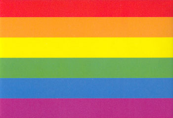 [inspirational-pride-tchachkis-magnets-gay-rainbow-flag-6684871322482.jpg]