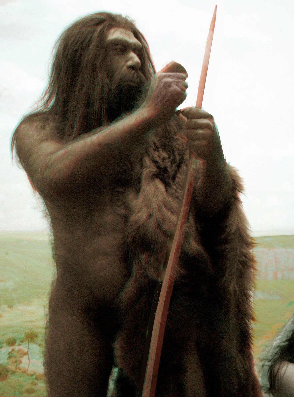 [Neanderthal_2D.jpg]