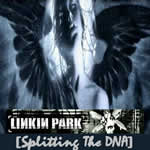 [Splitting+the+DNA+Live+single+CD.jpg]