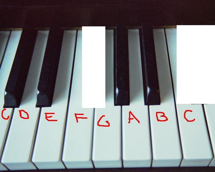 [Piano-keyboard1+no+key.JPG]