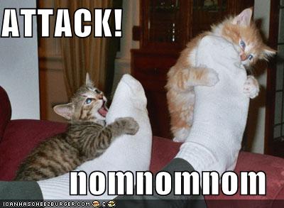 [funny-pictures-kittens-attack-feet.jpg]