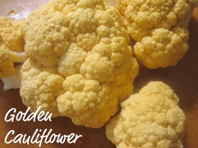 [cauliflower+golden.jpg]