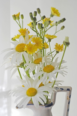 [LuckyOliver-3207850-blog-daisies-in-vase.jpg]