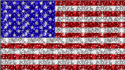 [U.S.flag.GIF]