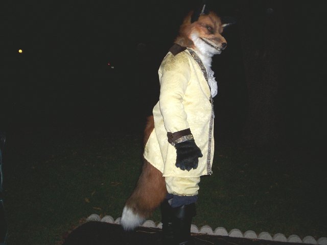 [fox2.jpg]