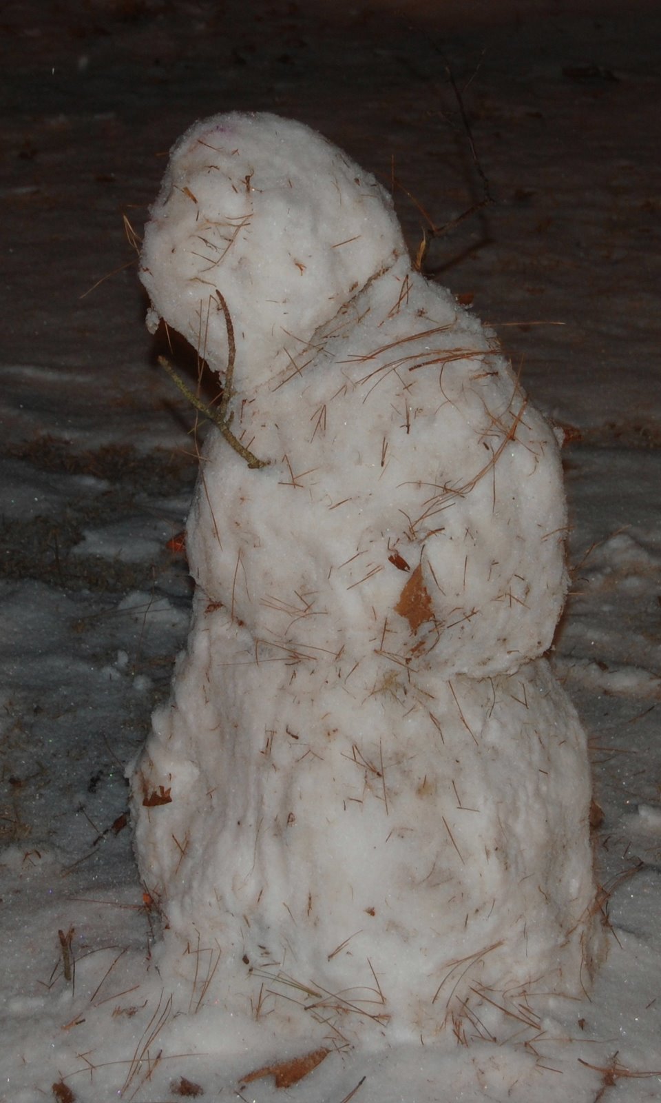[snowman011608.JPG]