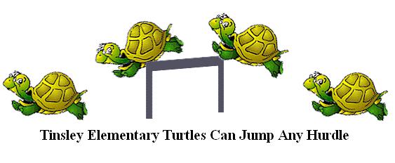 [Tinsley+Turtles.jpg]