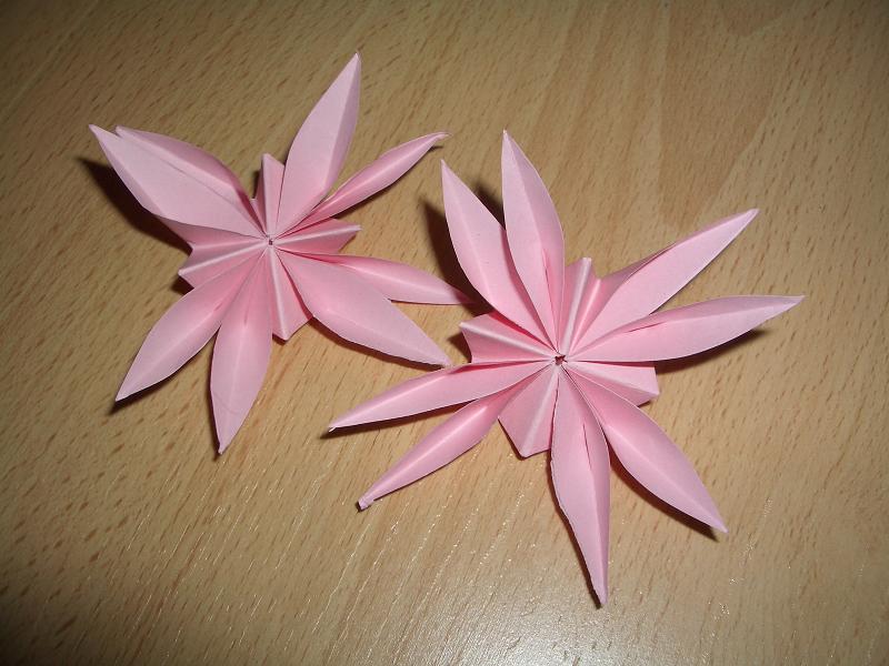 [origamis+flores.JPG]
