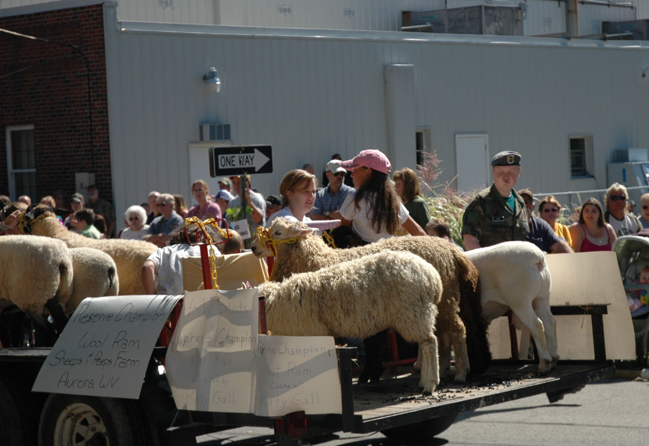 [bwf+sheeps+and+peeps+parade.jpg]