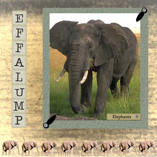 [elephants+resized.jpg]